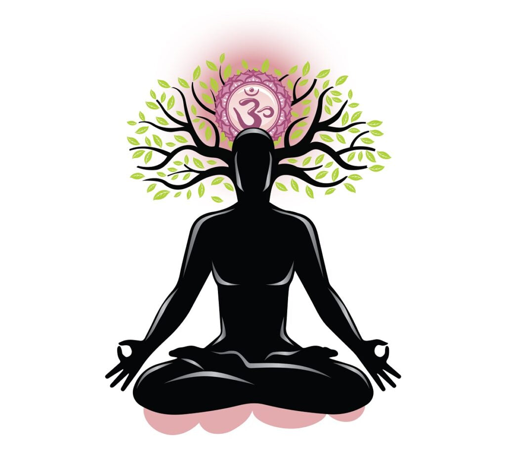 🍃Samadhi: One with Divinity💫