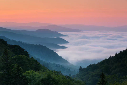🏕️The Smokies🌲National Parks Yoga Series