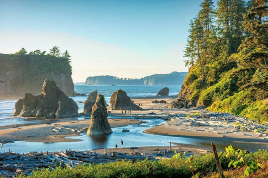 🌲🐋Olympic NP⛰️ At Peace in the National Parks