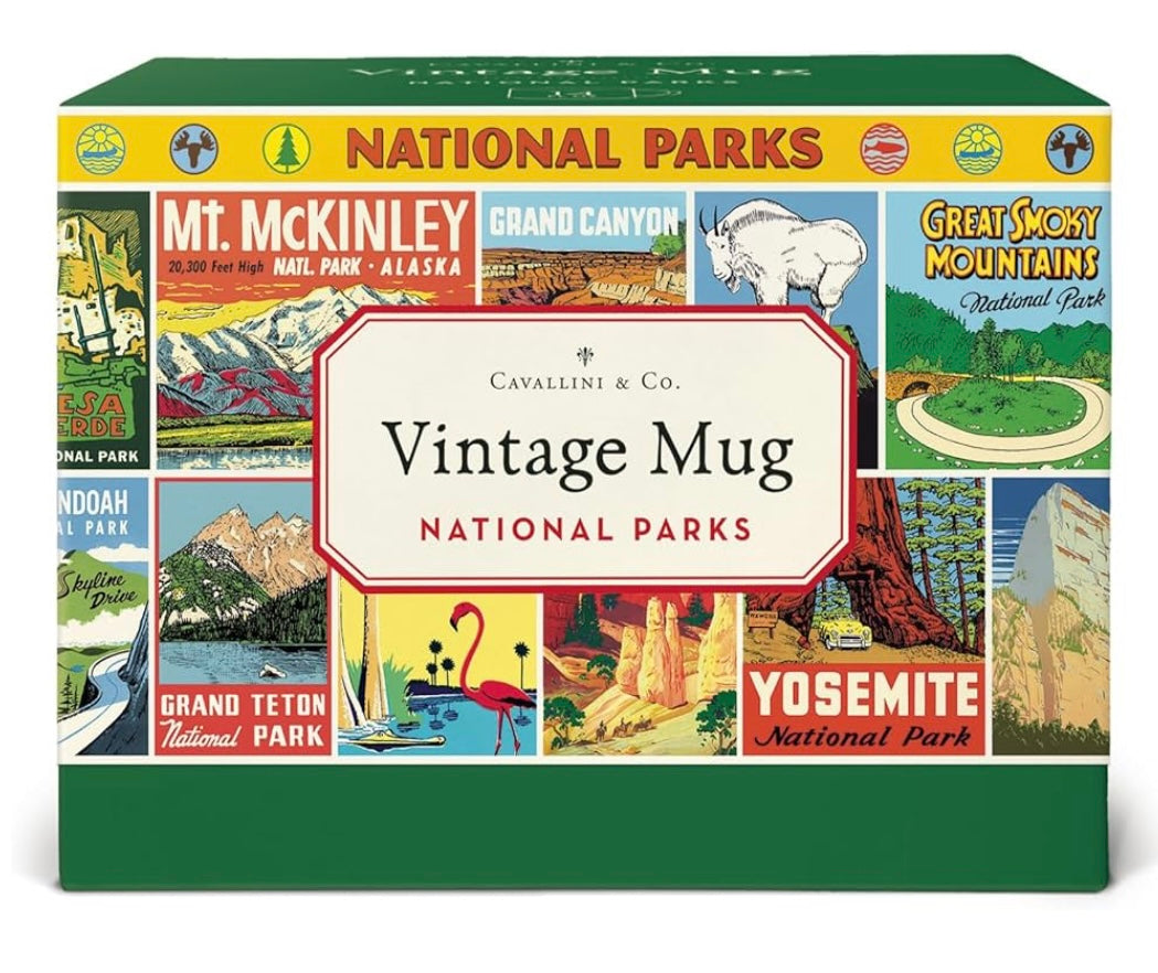 ⛰️🌲Protect our National Parks•Vintage Mug