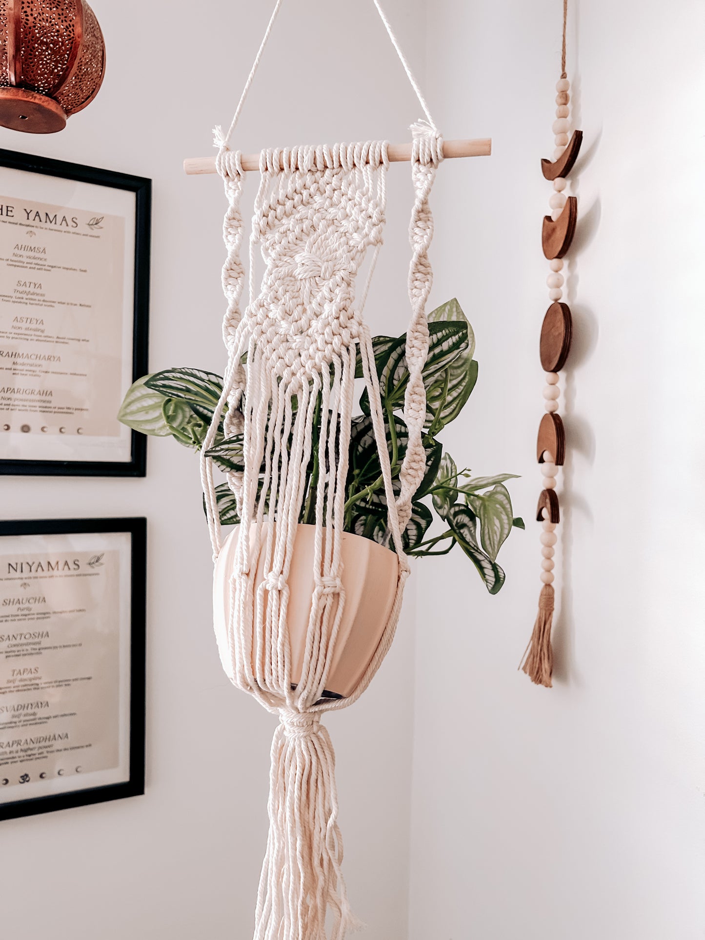 Macrame Plant Hanger