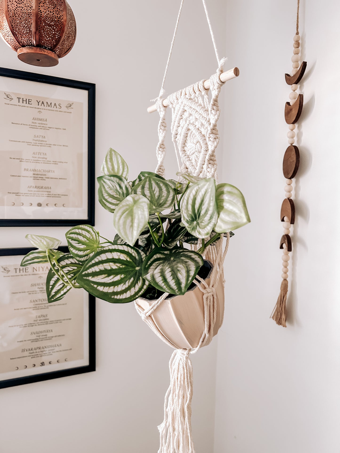 Macrame Plant Hanger