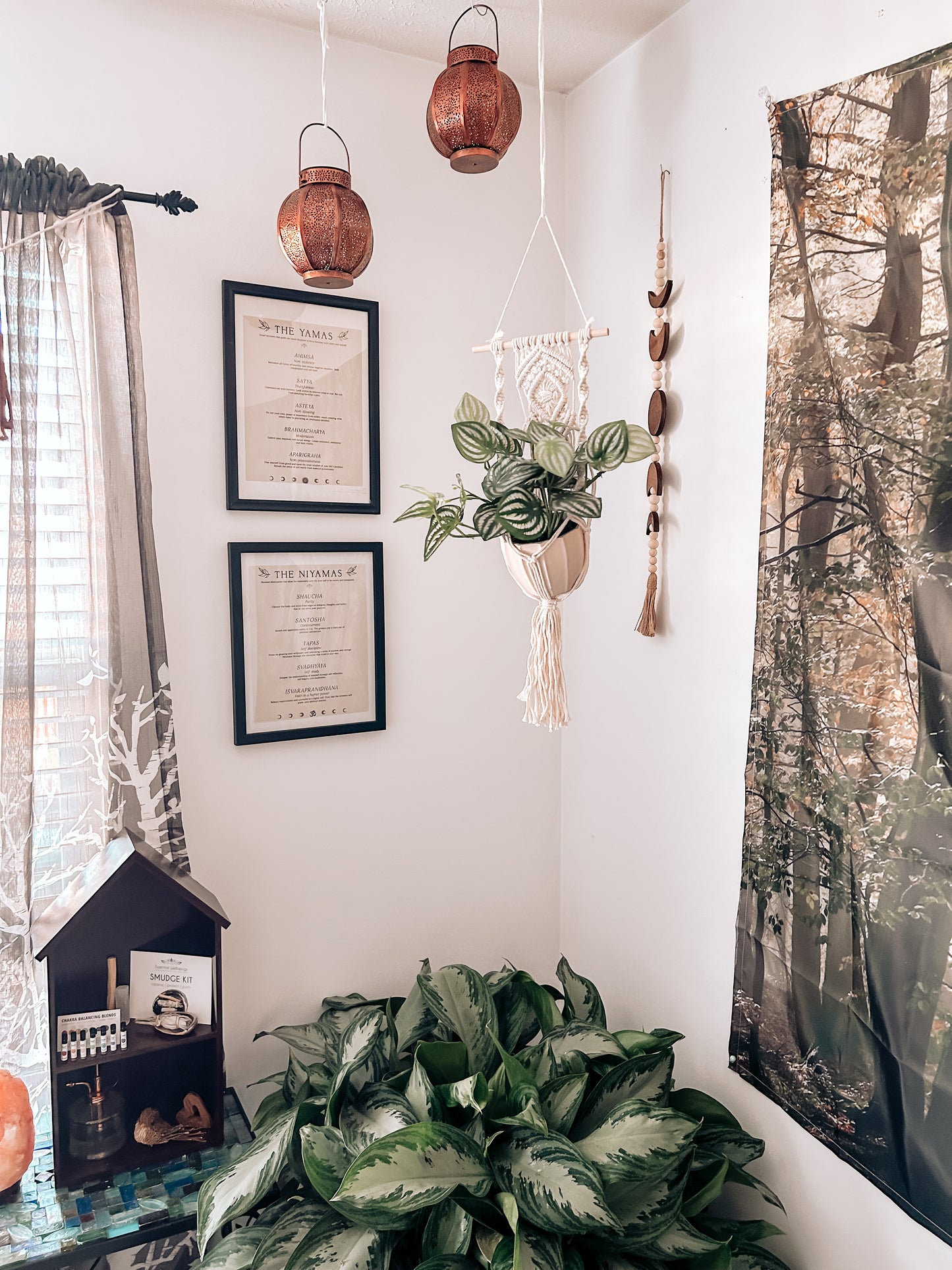 Macrame Plant Hanger