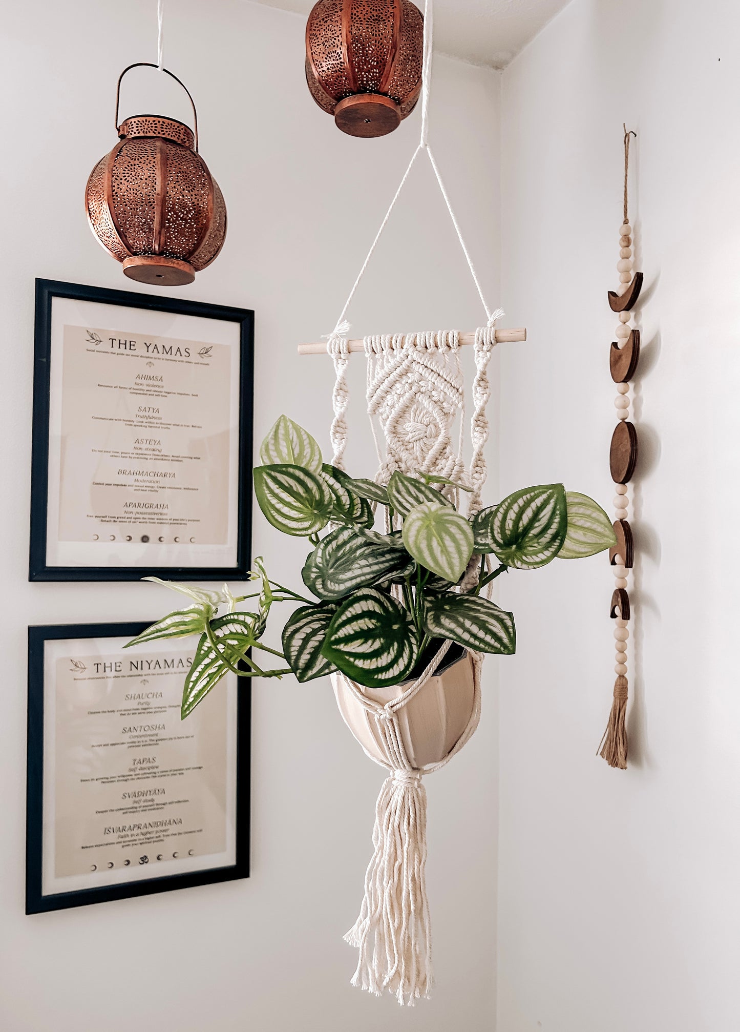Macrame Plant Hanger