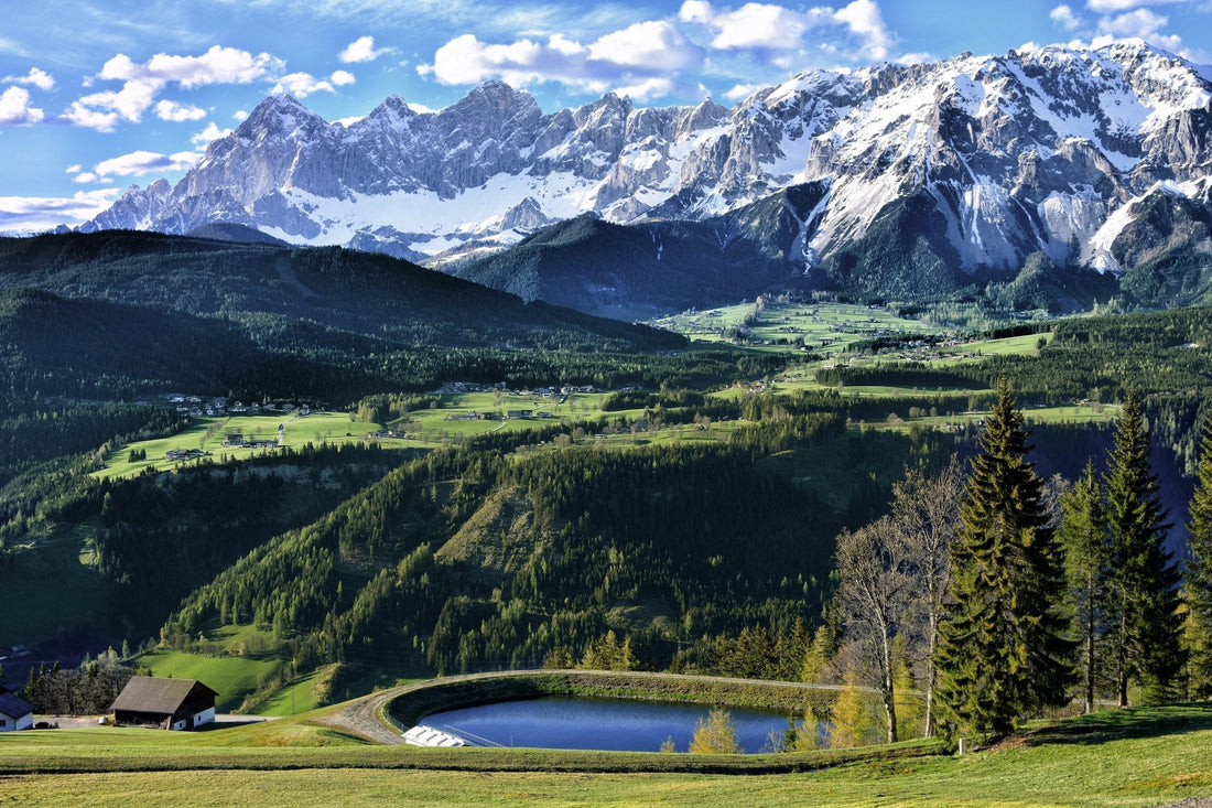 🌲⛰️Mountain Yoga: Healing In Nature Series🗻