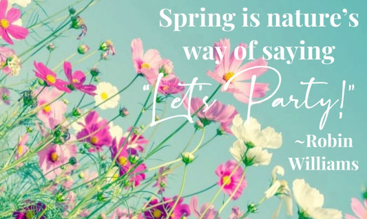 Spring Equinox: Renewal & Transformation