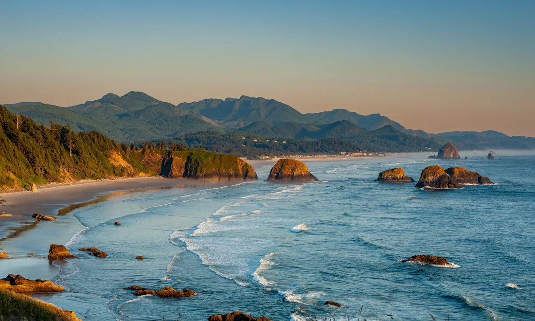 🌊🦀Ocean Yoga: 🐳Healing in Nature Series
