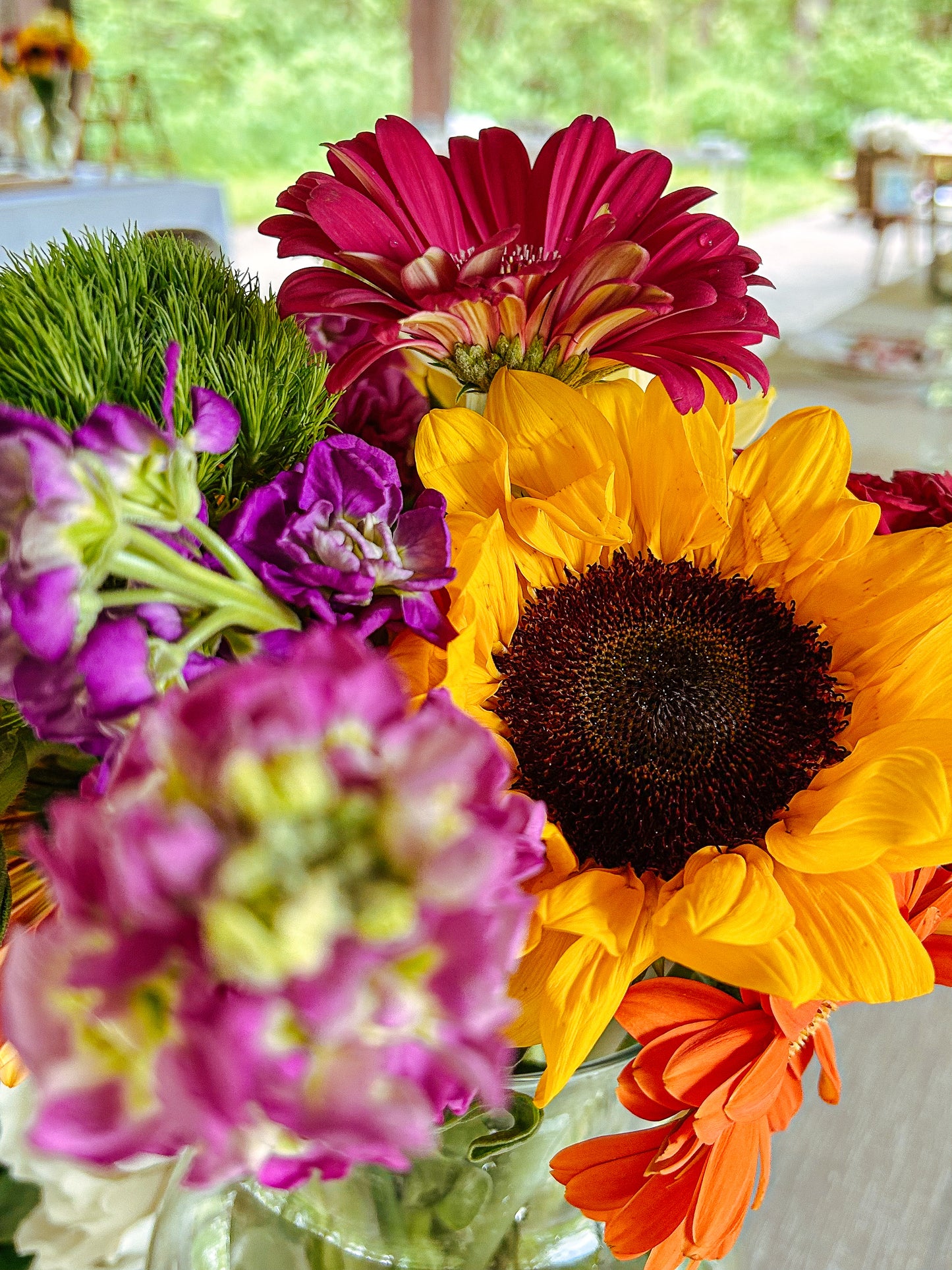 Photography Sessions: Yoga Classes, Yoga Retreats, Sound Baths, Small Biz Products.