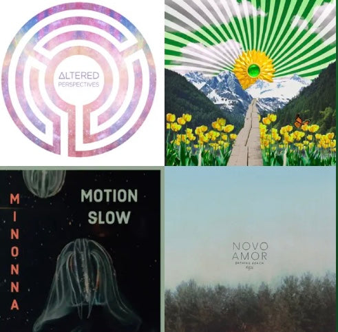 Class Playlist Consultation