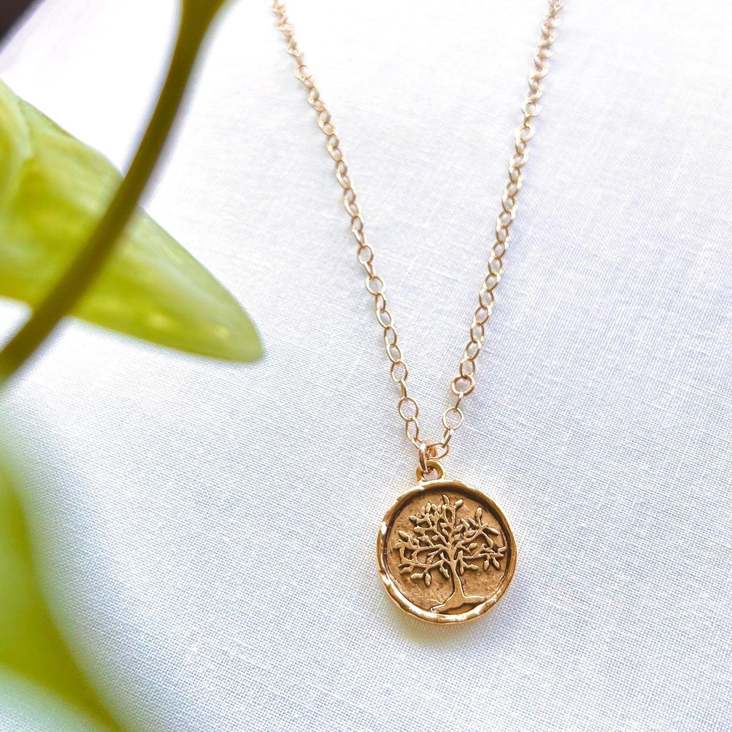 Deeply Rooted 🌳 20” 14k gold Tree Necklace