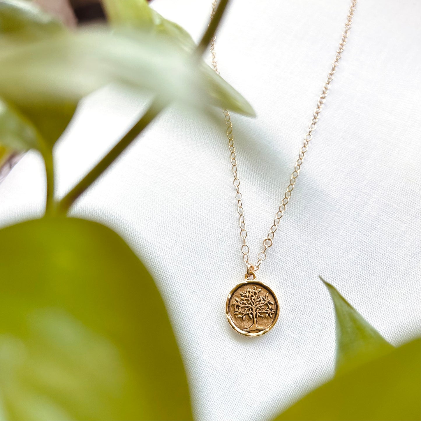 Deeply Rooted 🌳 20” 14k gold Tree Necklace