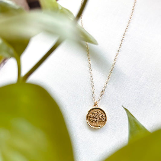 Deeply Rooted 🌳 18” 14k gold Tree Necklace