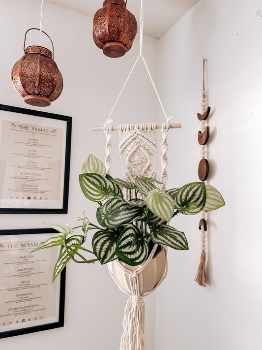 Macrame Plant Hanger